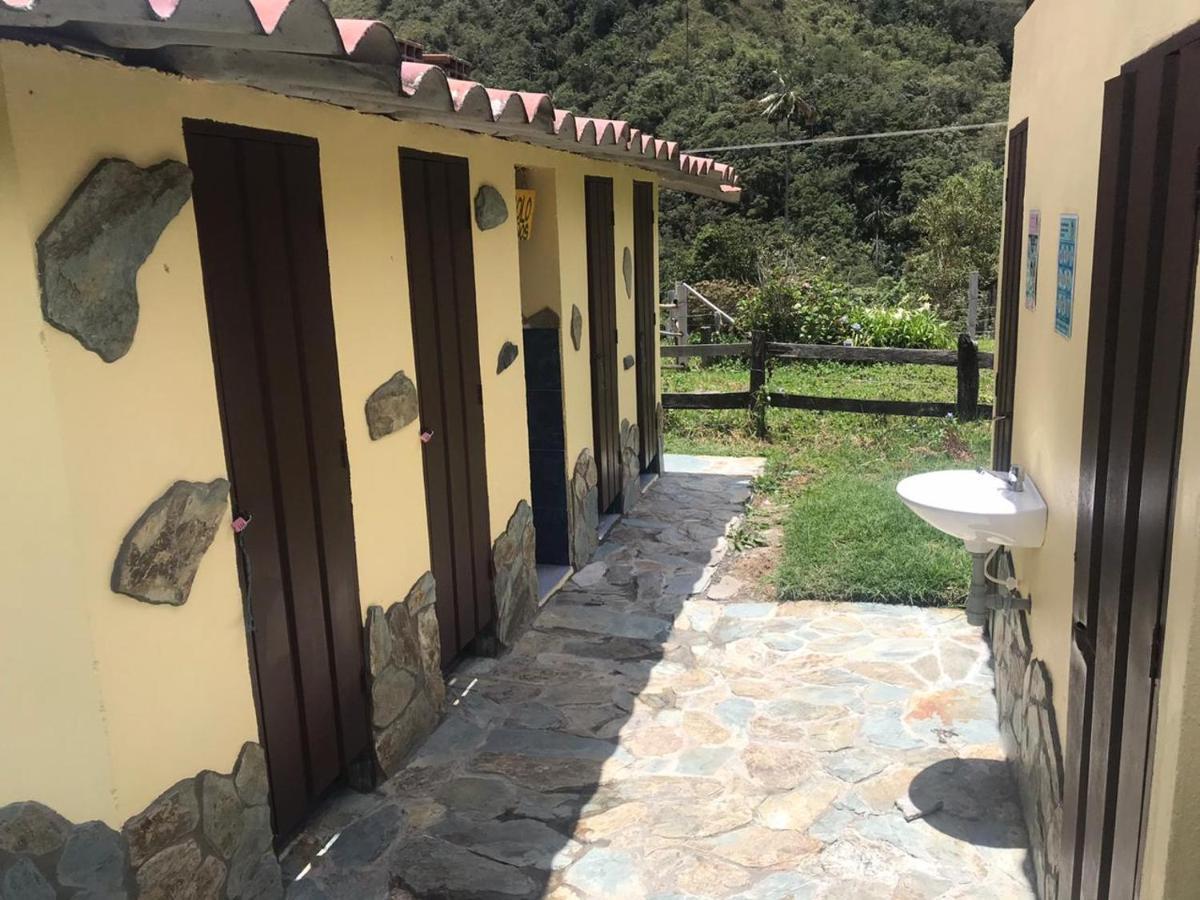 Refugio Nidos Del Condor Cocora Salento Ngoại thất bức ảnh