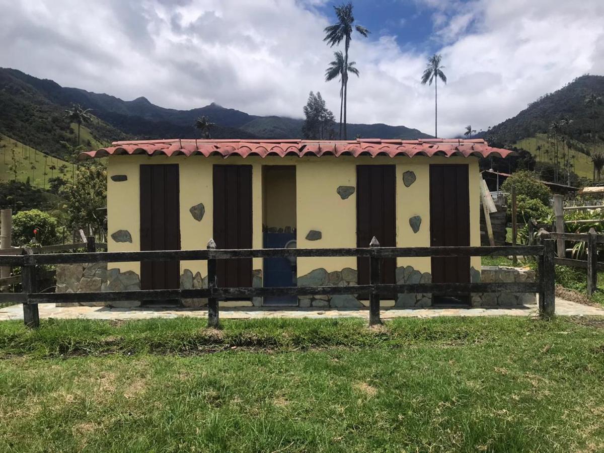 Refugio Nidos Del Condor Cocora Salento Ngoại thất bức ảnh