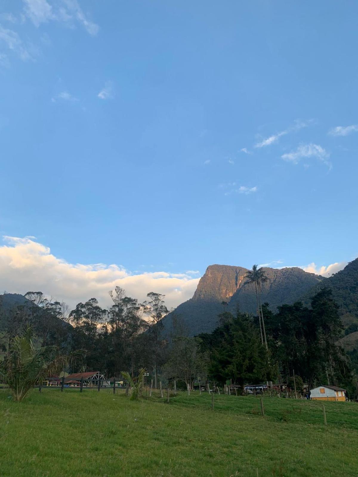 Refugio Nidos Del Condor Cocora Salento Ngoại thất bức ảnh
