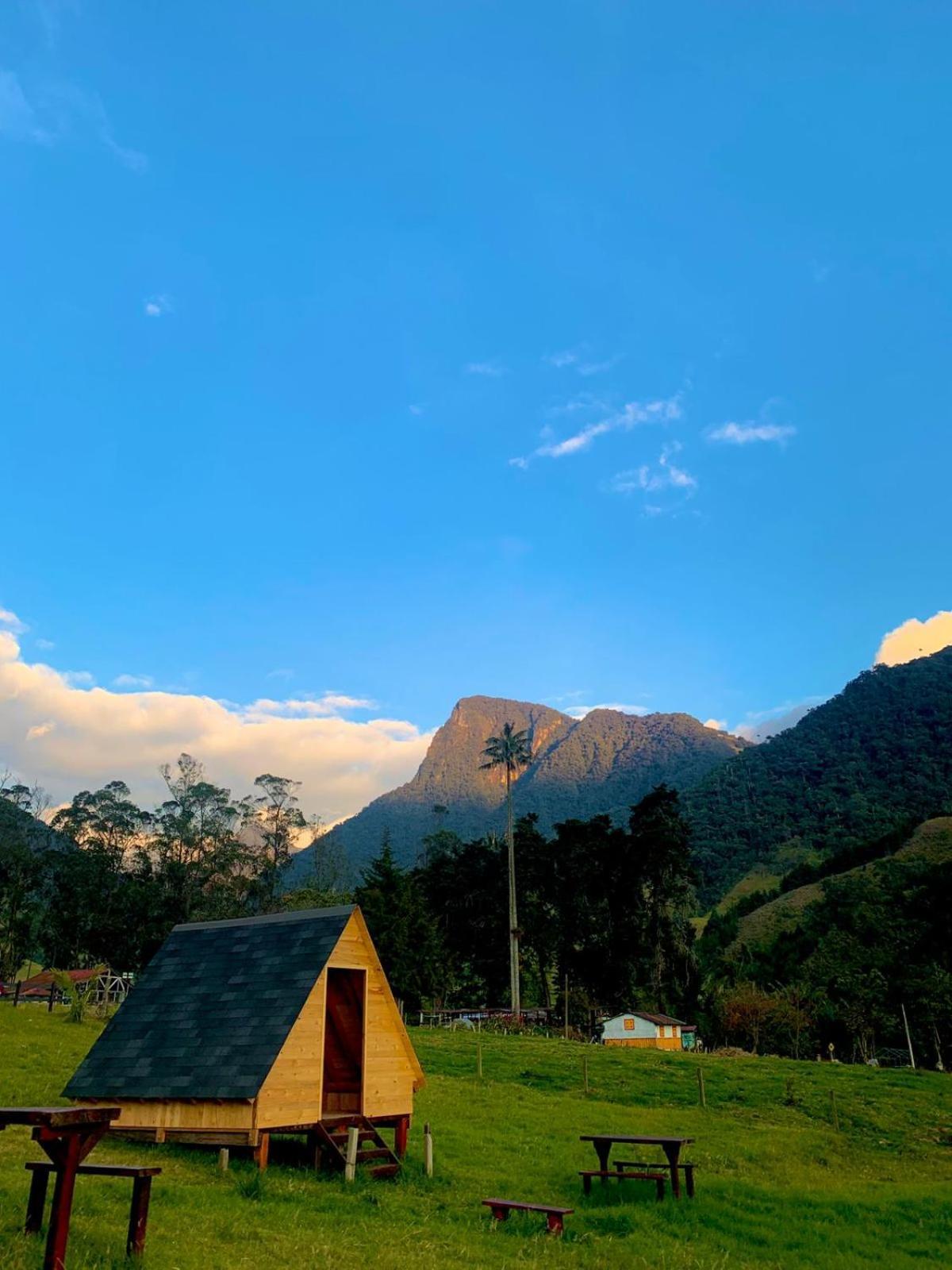 Refugio Nidos Del Condor Cocora Salento Ngoại thất bức ảnh