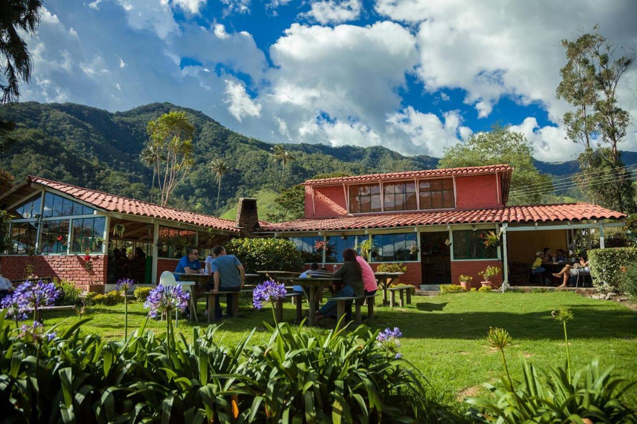 Refugio Nidos Del Condor Cocora Salento Ngoại thất bức ảnh