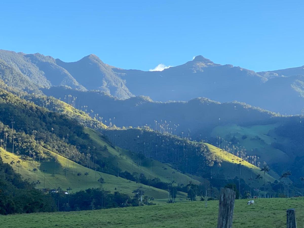 Refugio Nidos Del Condor Cocora Salento Ngoại thất bức ảnh